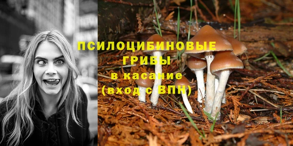 мяу мяу мука Абаза