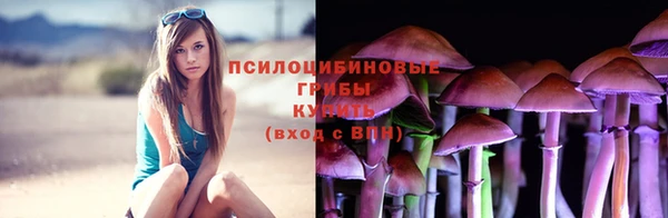 герыч Абинск