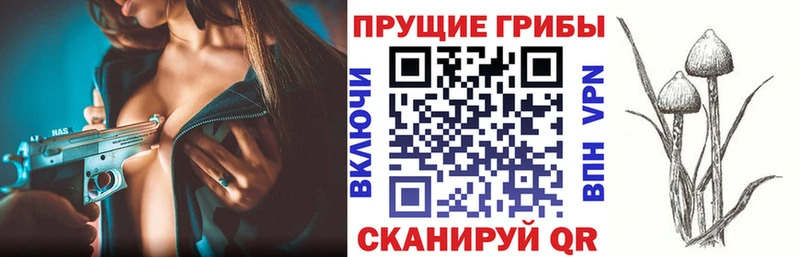 наркотики  Комсомольск-на-Амуре  Псилоцибиновые грибы ЛСД 