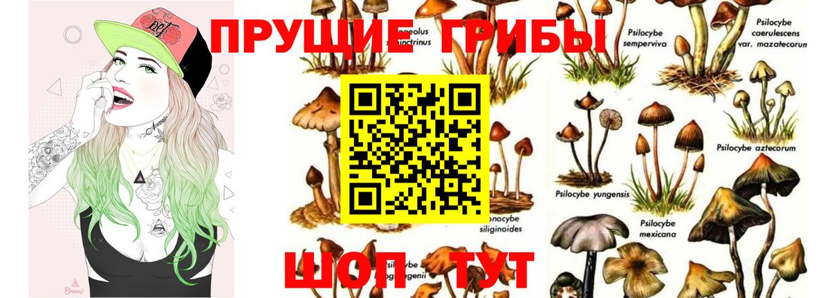 Комсомольск-на-Амуре  Псилоцибиновые грибы мицелий  Вход с VPN 